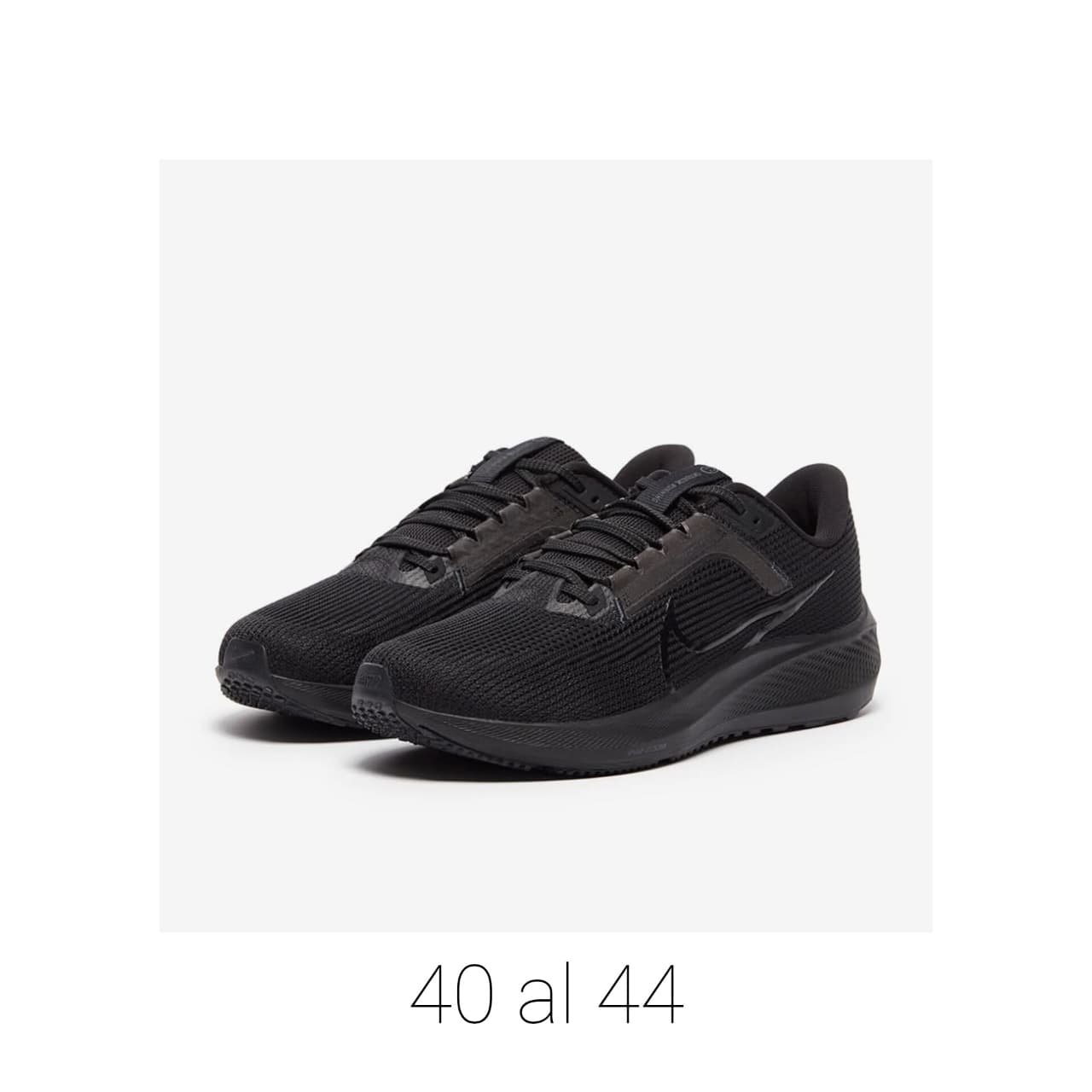 Nike Zoom Pegasus 39 Negro Total Logo Blanco Adulto, foto 1